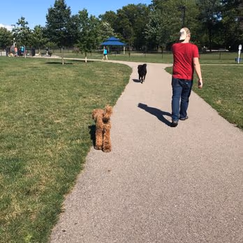 Quincy Dog Park photo 2